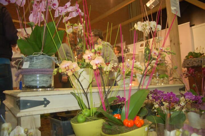 Gewerbeschau2017 00014